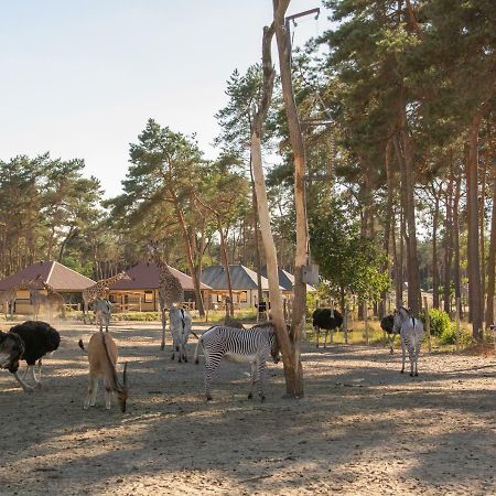 Safari Resort Beekse Bergen Hilvarenbeek Extérieur photo