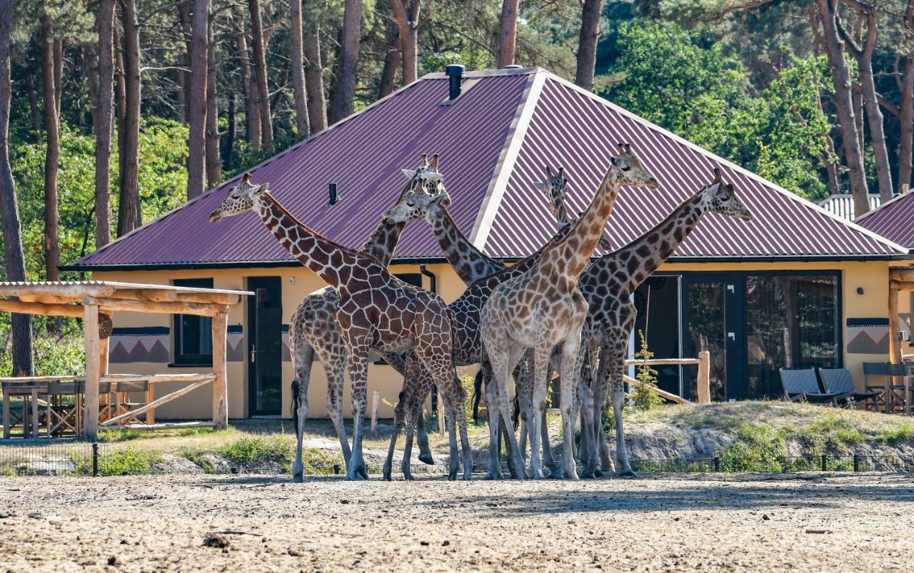 Safari Resort Beekse Bergen Hilvarenbeek Extérieur photo