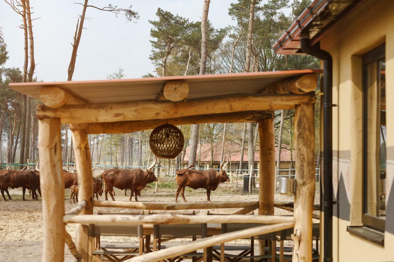 Safari Resort Beekse Bergen Hilvarenbeek Extérieur photo