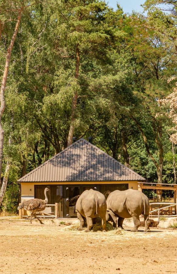 Safari Resort Beekse Bergen Hilvarenbeek Extérieur photo