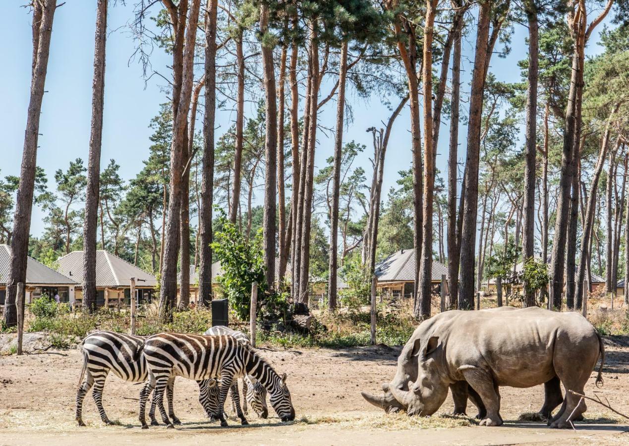 Safari Resort Beekse Bergen Hilvarenbeek Extérieur photo