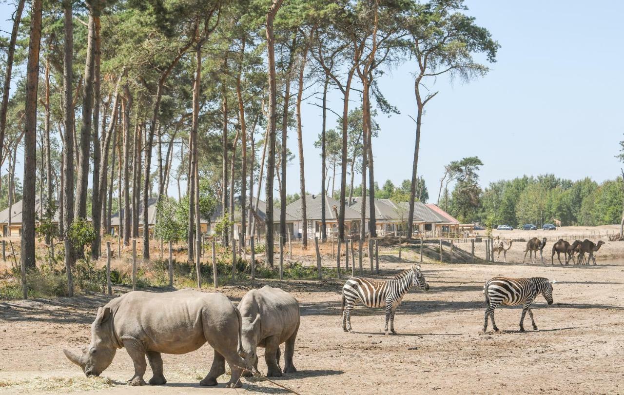 Safari Resort Beekse Bergen Hilvarenbeek Extérieur photo